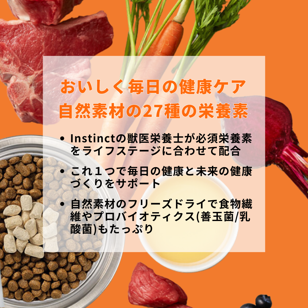 インスティンクト 成犬用ミキサー マルチビタミン 156g