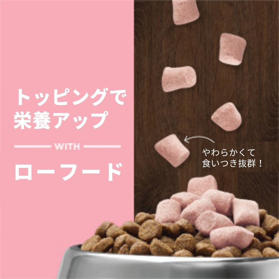 インスティンクト 犬用ミキサー 皮膚・被毛ケア 21g