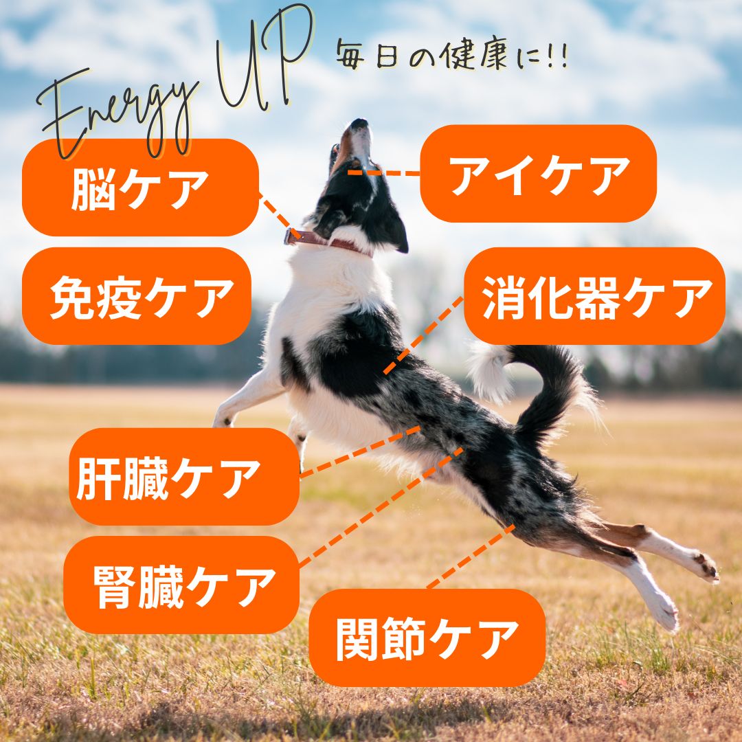 インスティンクト 成犬用ミキサー マルチビタミン 156g