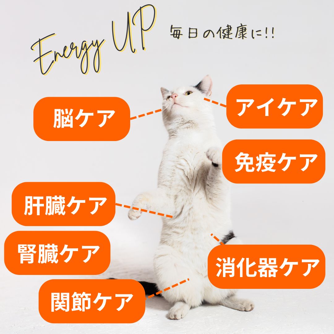 インスティンクト 成猫用ミキサー マルチビタミン 156g