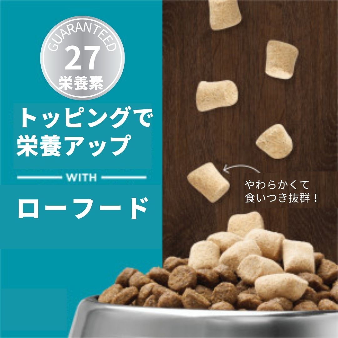インスティンクト 成犬用ミキサー マルチビタミン 156g
