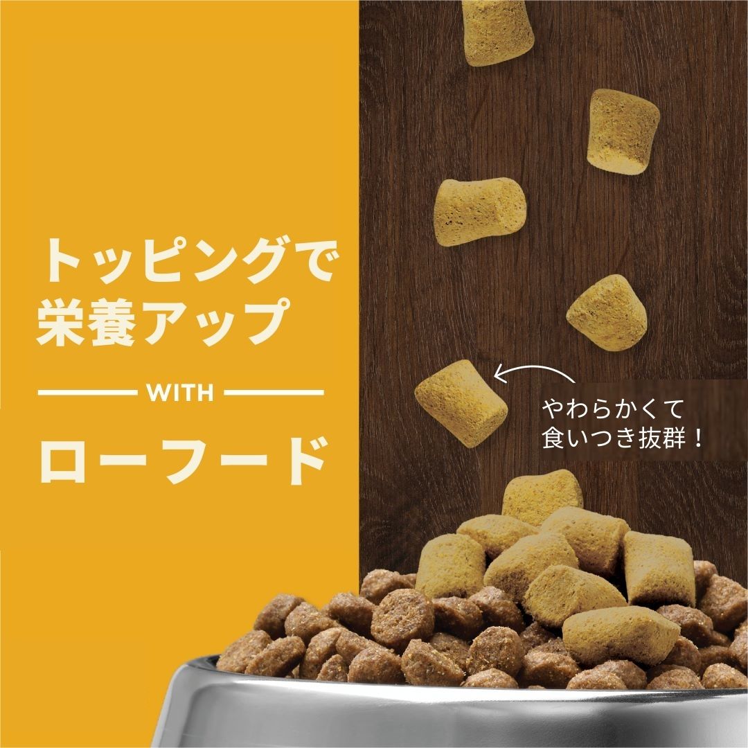 インスティンクト 犬用ミキサー 関節ケア 156g
