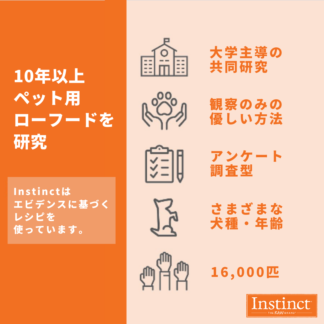 【限定セール】インスティンクト シニア猫用ローロンジェビティ フリーズドライビーフ 269g