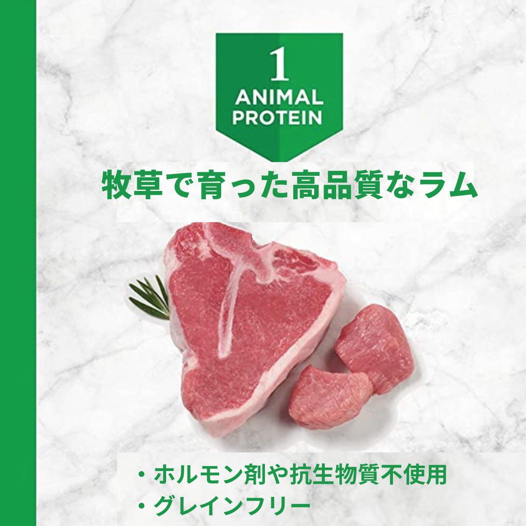 インスティンクト 犬用LID アレルギー対応ドライフード ラム 1.8kg