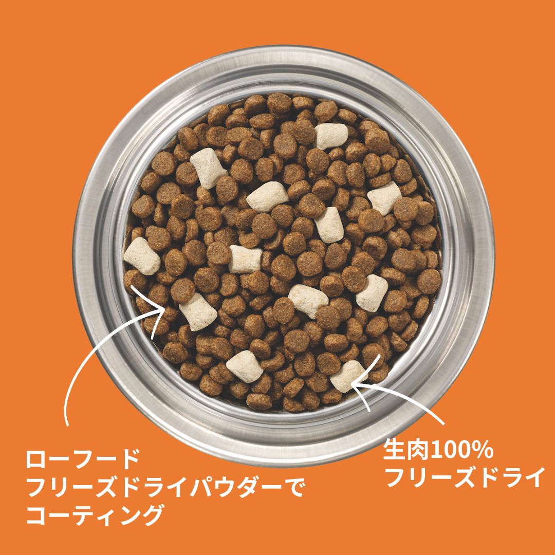 【お試し】オールライフステージ(全年代対応900g)ローフード入り総合栄養食とトリーツ(消化器サポート)のセット