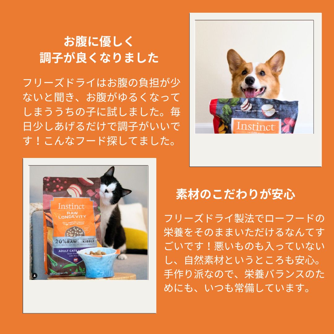 【お試し】オールライフステージ(全年代対応900g)ローフード入り総合栄養食とトリーツ(消化器サポート)のセット