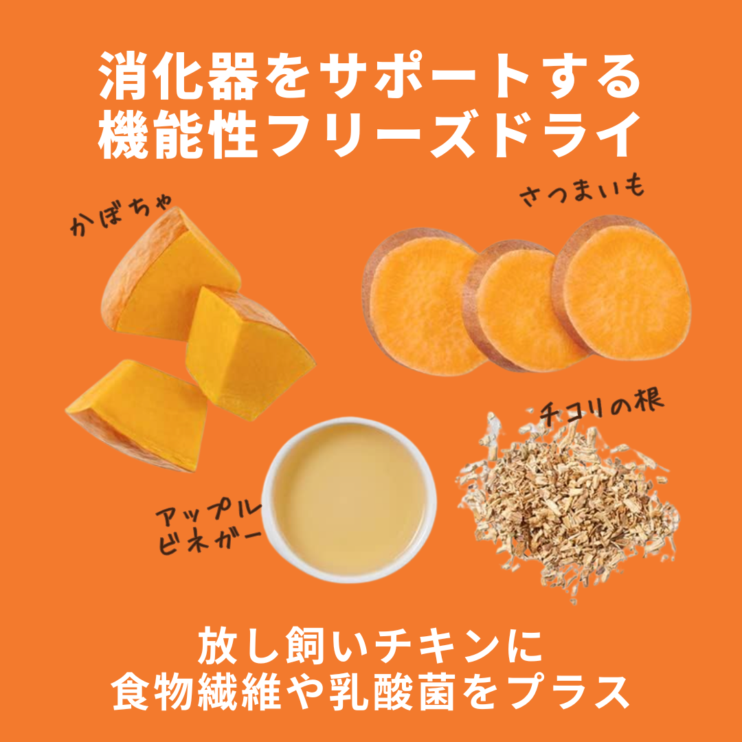 【お試し】オールライフステージ(全年代対応900g)ローフード入り総合栄養食とトリーツ(消化器サポート)のセット