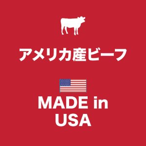 インスティンクト 犬用ウェットフード ビーフ 85g