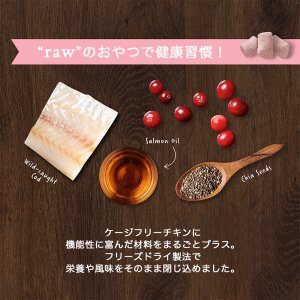 インスティンクト 犬用ミキサー 皮膚・被毛ケア 21g