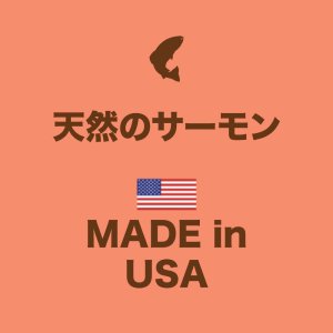 インスティンクト 猫用ウェットフード 天然サーモン 85g