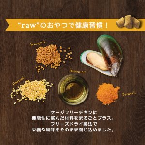 インスティンクト 犬用ミキサー 関節ケア 156g