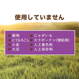インスティンクト 猫用ウェットフード ラビット 99g