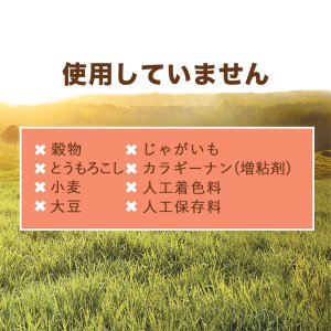 インスティンクト 猫用ウェットフード 天然サーモン 99g