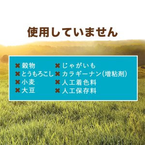 インスティンクト 猫用ウェットフード 天然まぐろ 99g