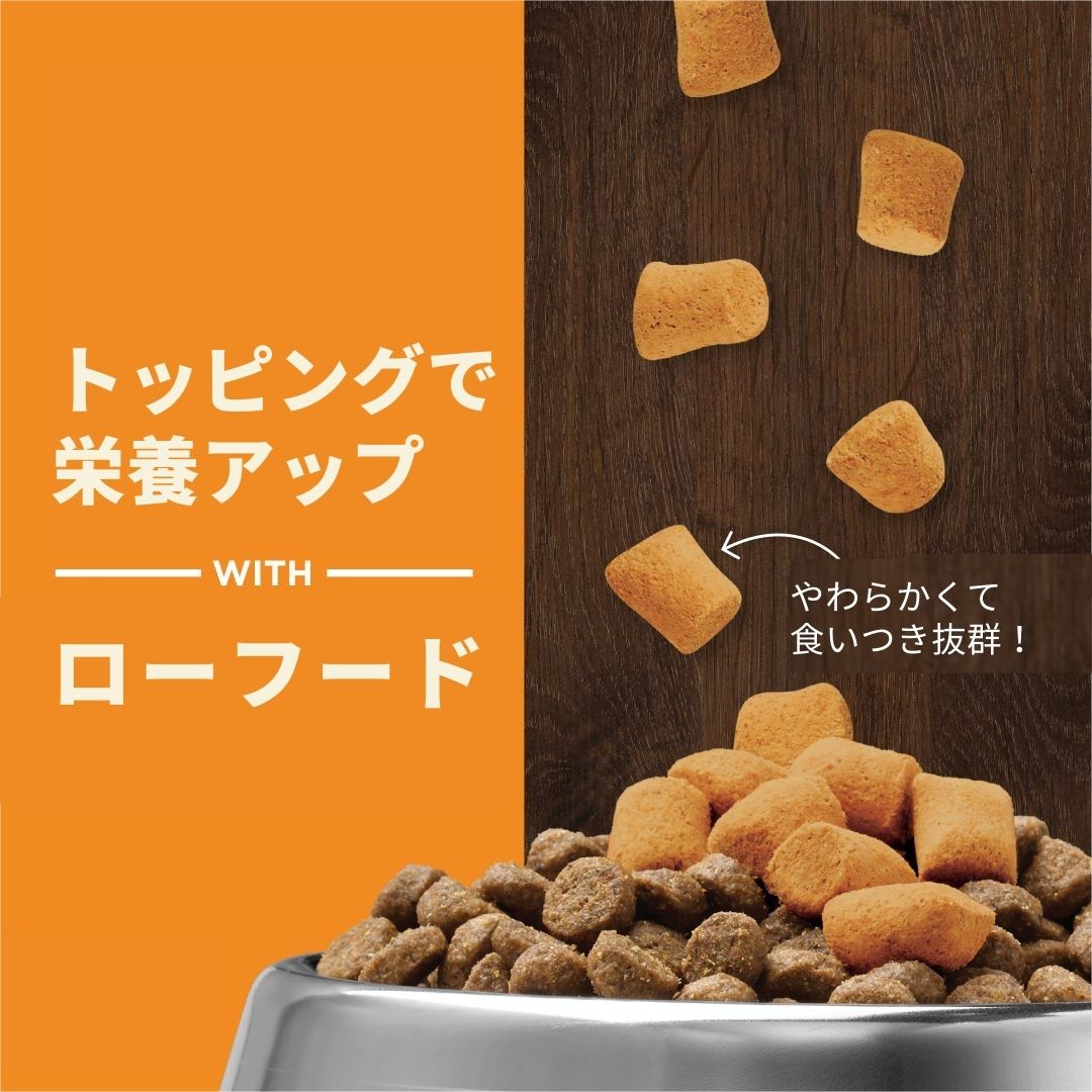 犬用 消化器サポート フリーズドライローフード チキン 21g