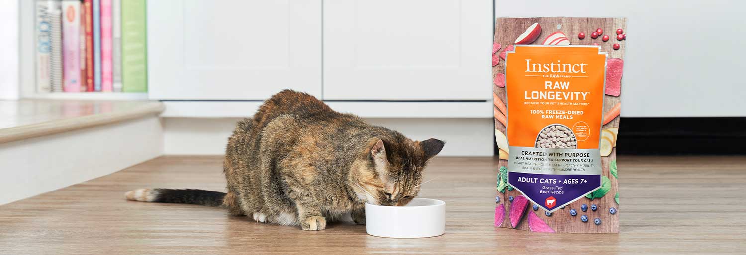 キャットフード riu インスティンクト 猫用ローフードフリーズドライ総合栄養食 ロー
