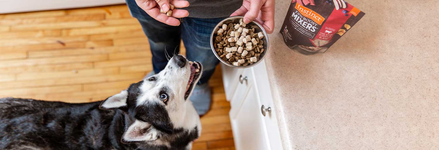インスティンクト 犬用ミキサー MIXERS フリーズドライトリーツ