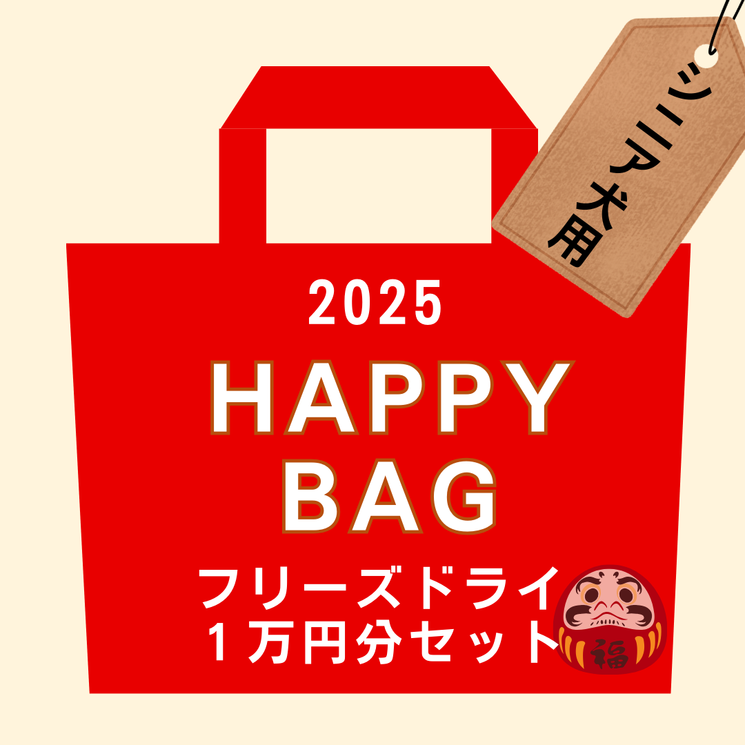 福袋2025 シニア犬用